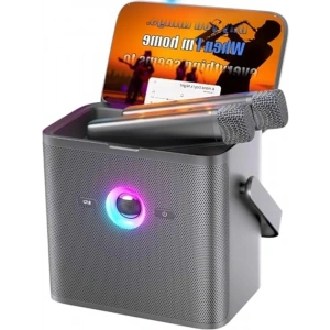Yetişkinler için Karaoke Sistemi, 2 Kablosuz Mikrofonlu