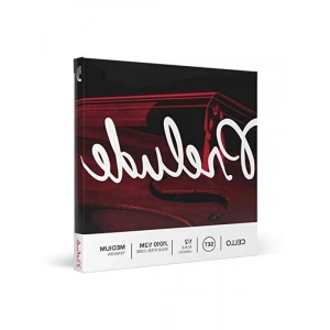 Yüksek Kaliteli 1/2 Ölçekli Cello Tel Seti