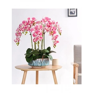 Yüksek Kaliteli Clave - Dayanıklı ve Uygun Fiyatlı