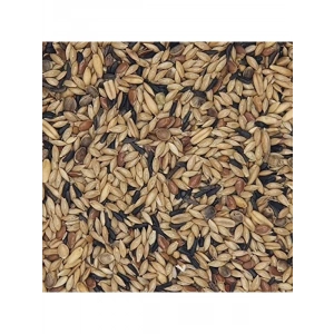 Yüksek Kaliteli Kanarya Yemi, Şalgamsız 22 Kg