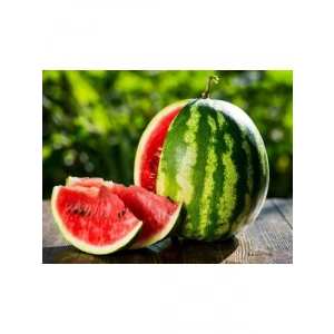 Yüksek Verimli Crimson Sweet Karpuz Tohumu