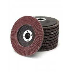 Zımpara Disk Seti, 115 x 22mm 10 Adet ile Yüksek Kalite
