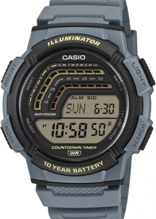 Casio