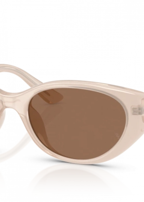 Ray-Ban Rb4457 6786/73 Güneş Gözlüğü