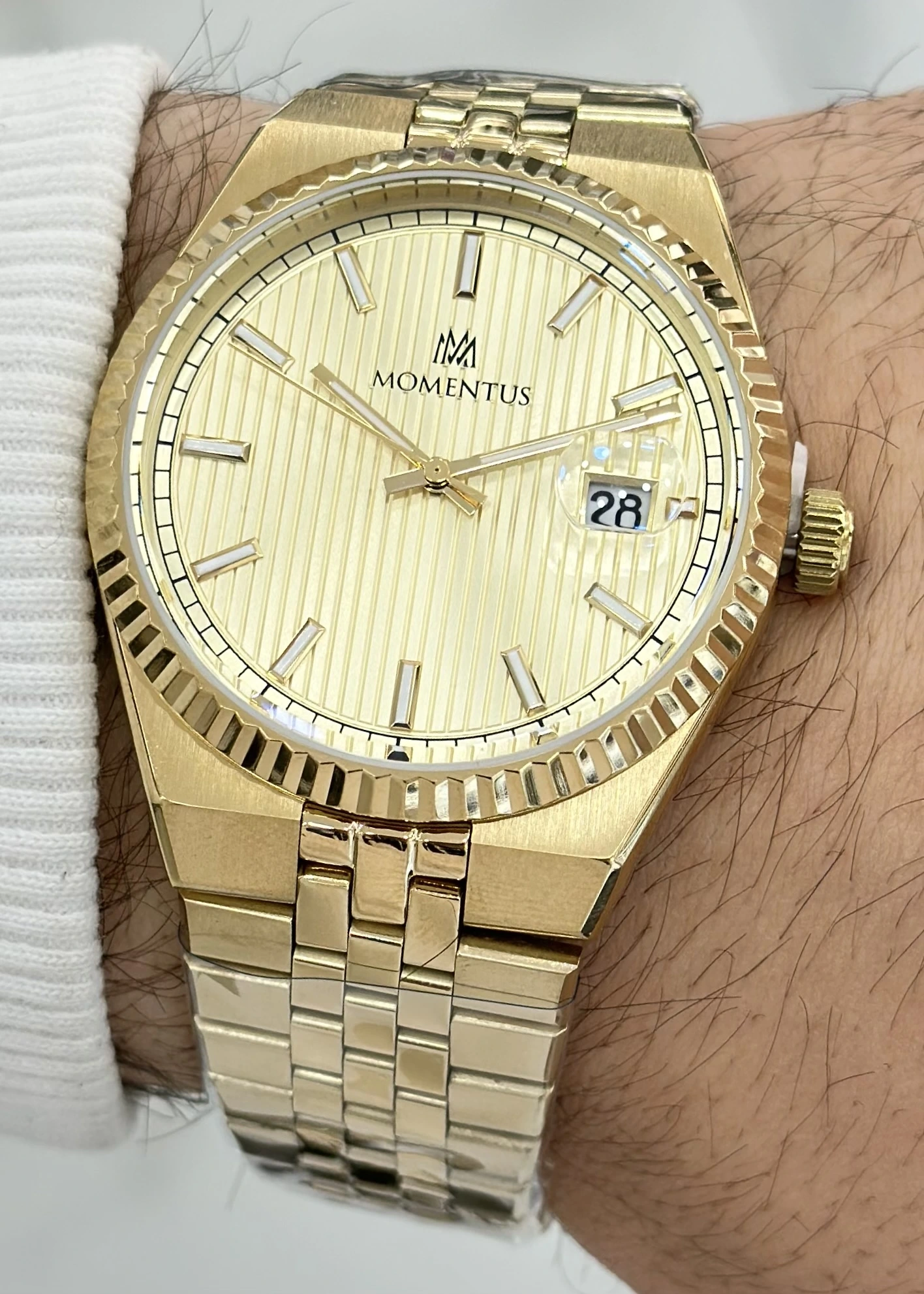 Momentus Orijinal Çelik Kordon Erkek Kol Saati ILKCR264G-08SG