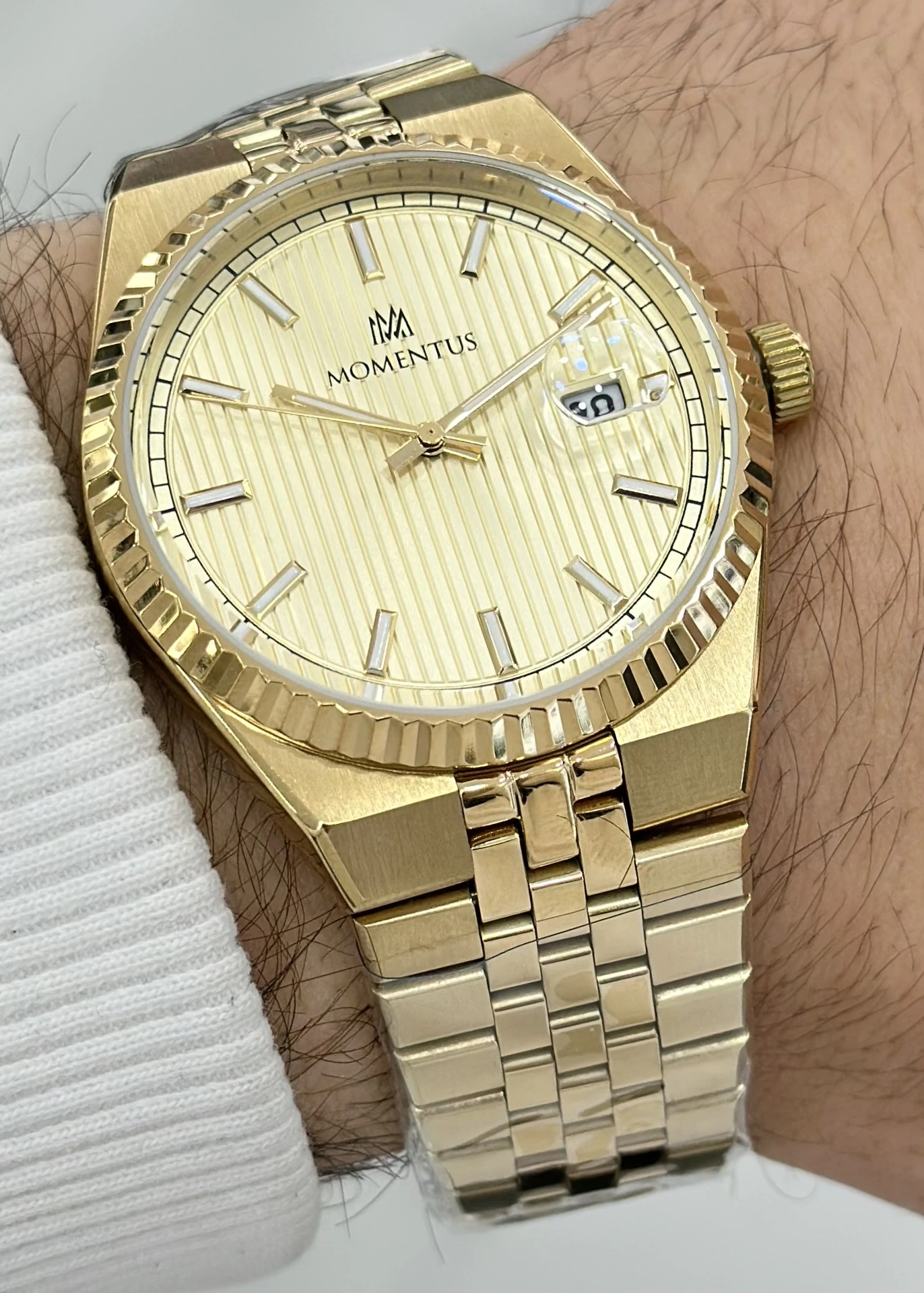 Momentus Orijinal Çelik Kordon Erkek Kol Saati ILKCR264G-08SG