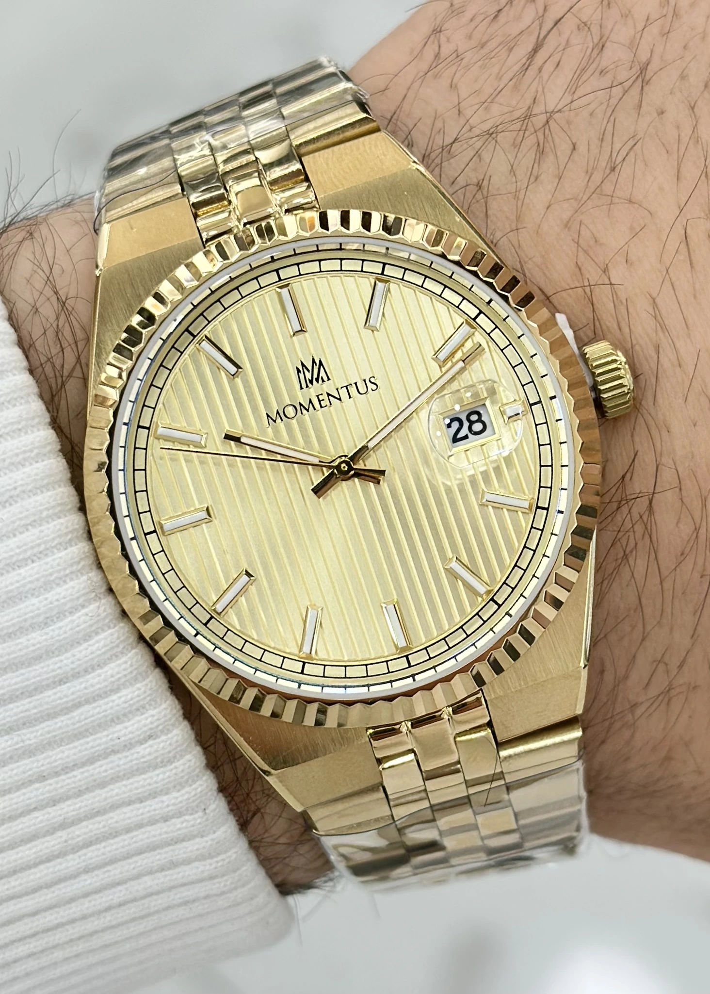 Momentus Orijinal Çelik Kordon Erkek Kol Saati ILKCR264G-08SG