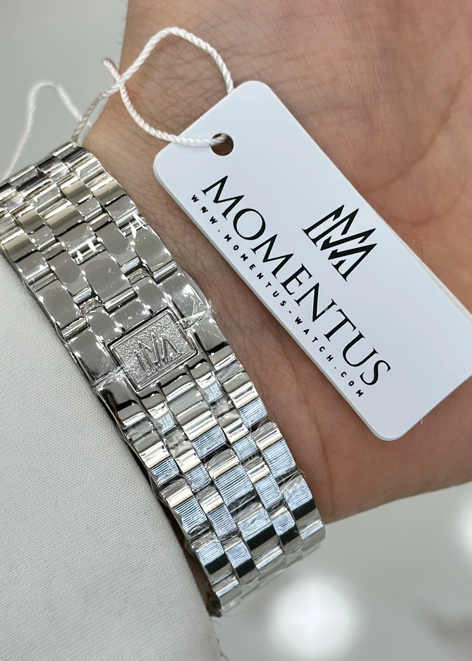 Momentus Orijinal Çelik Kordon Otomatik Su Geçirmez Erkek Kol Saati ILKMM102S-16SS