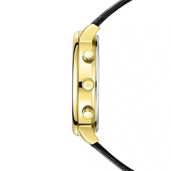 Roche Montre RMG6014-04 Erkek Kol Saati
