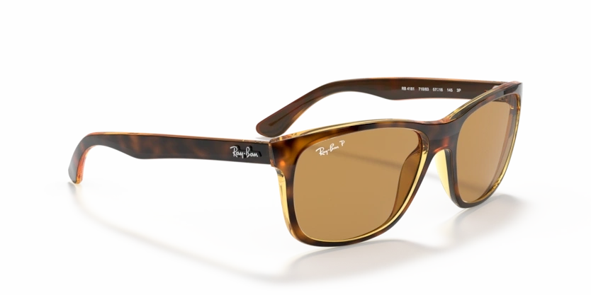 Ray-Ban Rb4181 710-83 Güneş Gözlüğü