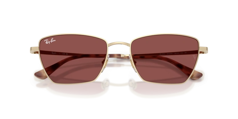Ray-Ban Rb3783 9213/75 Güneş Gözlüğü