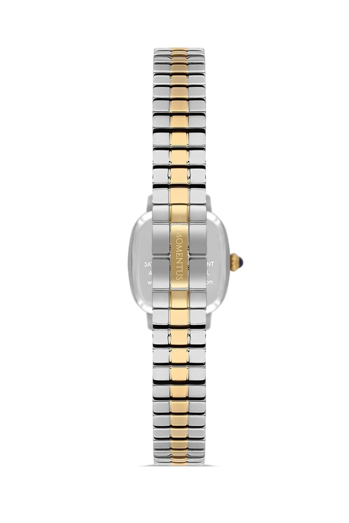 Momentus CW318T-02SG Kadın Kol Saati