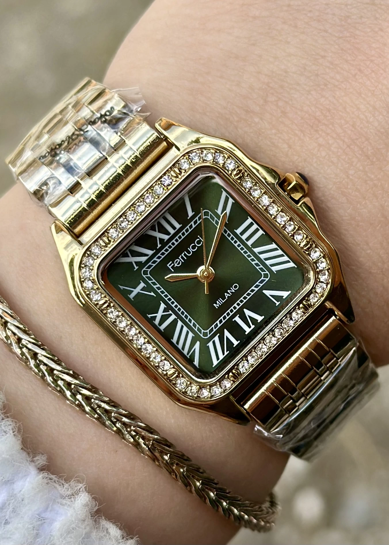 Ferrucci Çelik Kordon Bayan Kol Saati