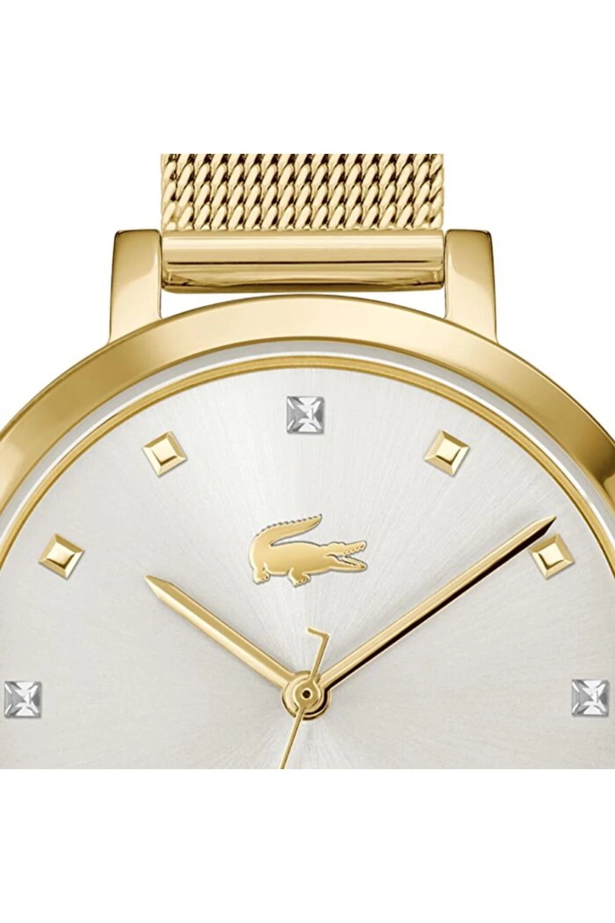 Lacoste LAC2001401 Kadın Kol Saati