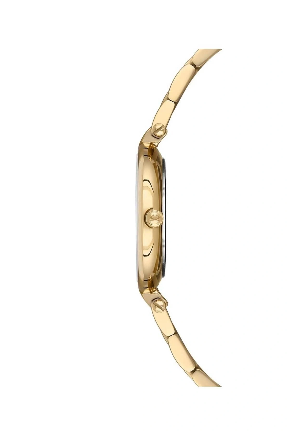 NC34-39C714-DSMS KADIN KOL SAATİ