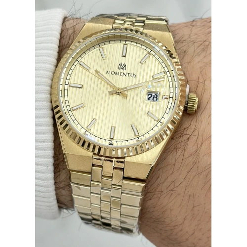 Momentus Orijinal Çelik Kordon Erkek Kol Saati ILKCR264G-08SG