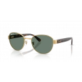 Ray-Ban RB3776ch 001-o9 Güneş Gözlüğü
