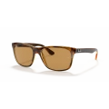 Ray-Ban Rb4181 710-83 Güneş Gözlüğü