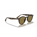 Ray-Ban RB2180/710-73 Güneş Gözlüğü