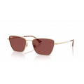 Ray-Ban Rb3783 9213/75 Güneş Gözlüğü