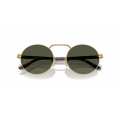 Persol PO1019 515/31 Erkek Güneş Gözlüğü