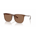 Emporio Armani EA4255D 628273 Erkek Güneş Gözlüğü