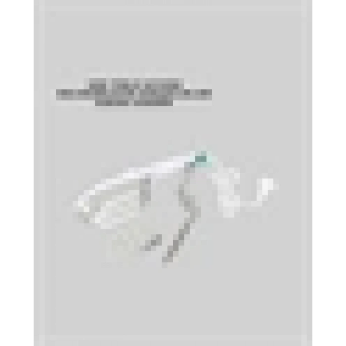 1500w Buharlı Kırışıklık Giderici Ütü | Ev Ve Seyahat Kullanımı İçin Uygun