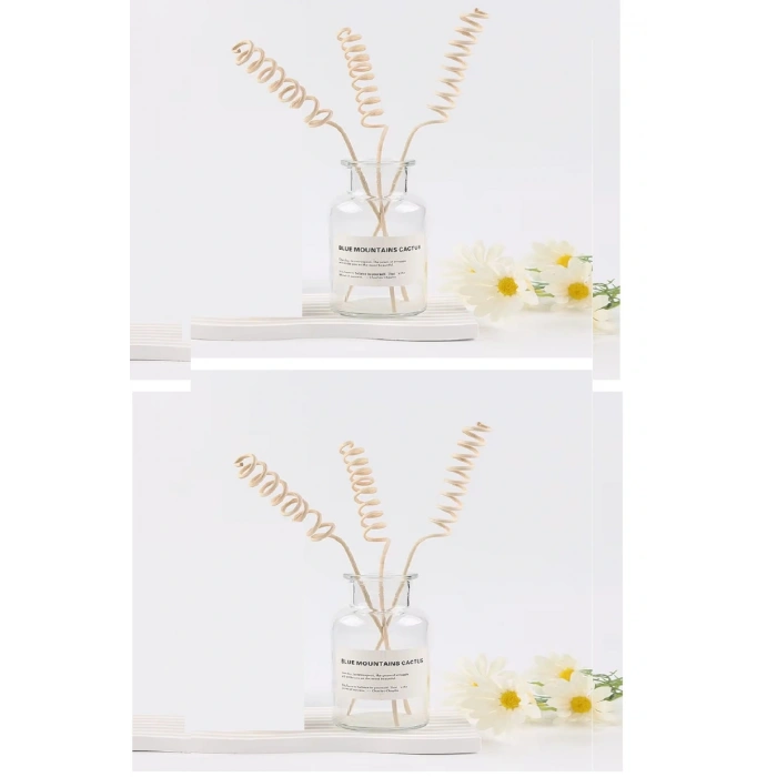 3 Tek Adet 3 Model Aromaterapi Koku Dağıtıcı Rattan Şişe Ahşap Difüzör Çubuk (spiral-yaprak-dalgalı)