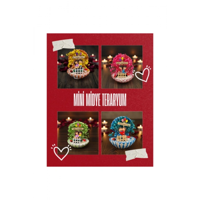 Mini Midye Teraryum - Özel Gün Hediyesi