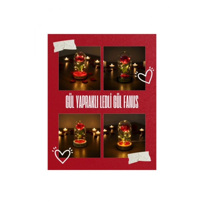 Gül Yapraklı Ledli Gül Fanus