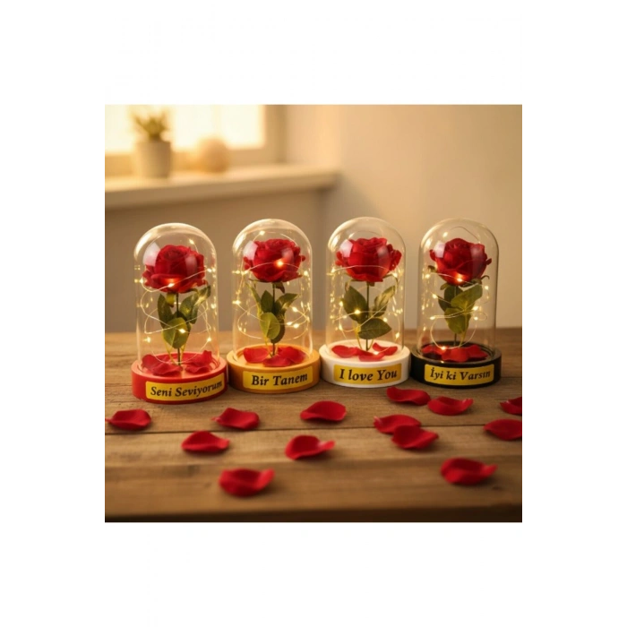 Gül Yapraklı Ledli Gül Fanus