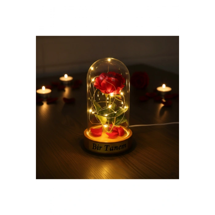 Gül Yapraklı Ledli Gül Fanus