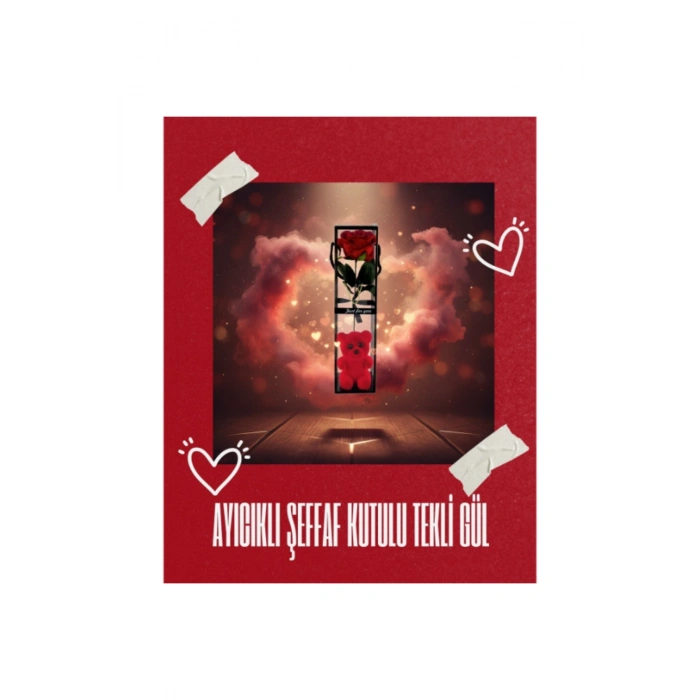 Ayıcıklı Şeffaf Kutulu Tekli Gül