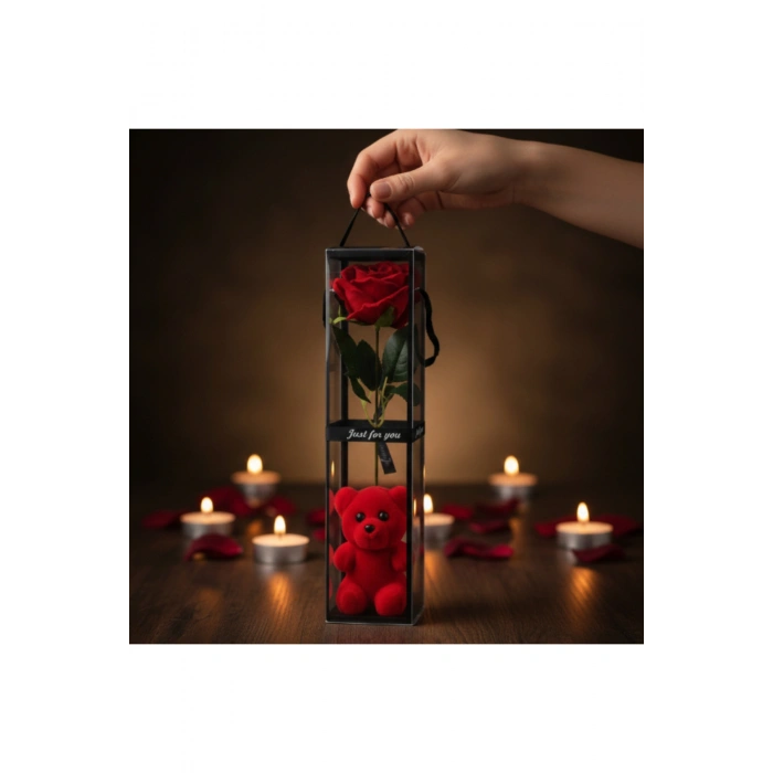 Ayıcıklı Şeffaf Kutulu Tekli Gül