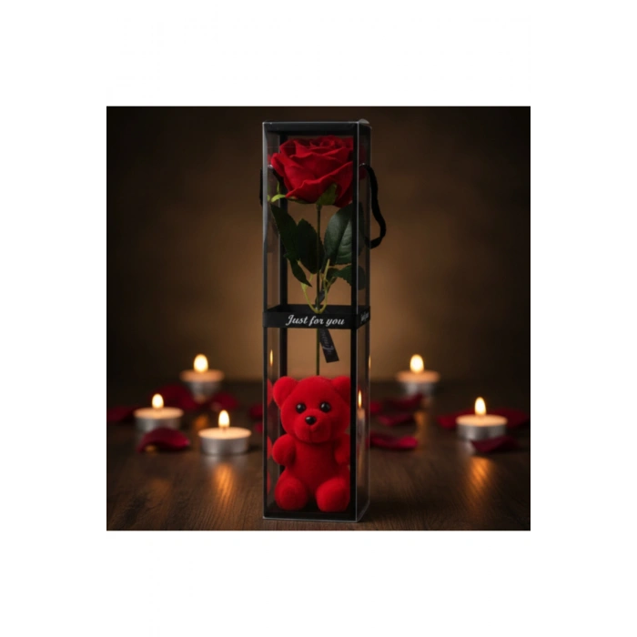 Ayıcıklı Şeffaf Kutulu Tekli Gül