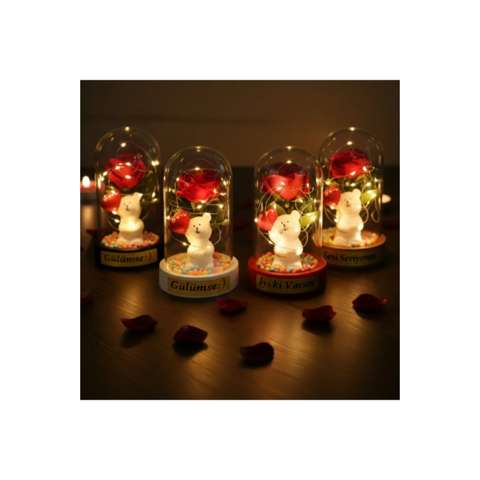 Balonlu Ayıcık Ledli Gül Fanus