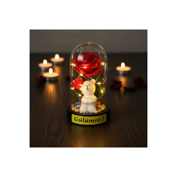 Balonlu Ayıcık Ledli Gül Fanus