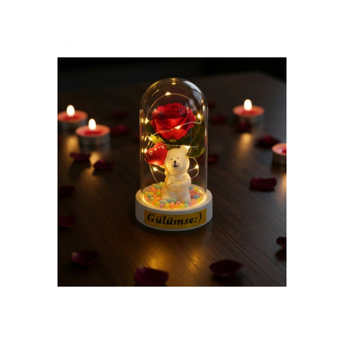 Balonlu Ayıcık Ledli Gül Fanus