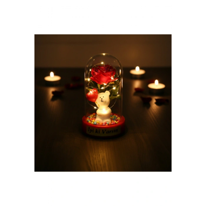 Balonlu Ayıcık Ledli Gül Fanus