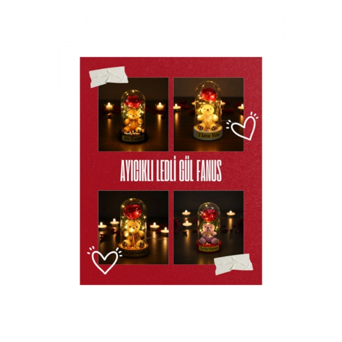 Ayıcıklı Ledli Gül Fanus