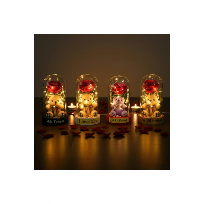 Ayıcıklı Ledli Gül Fanus