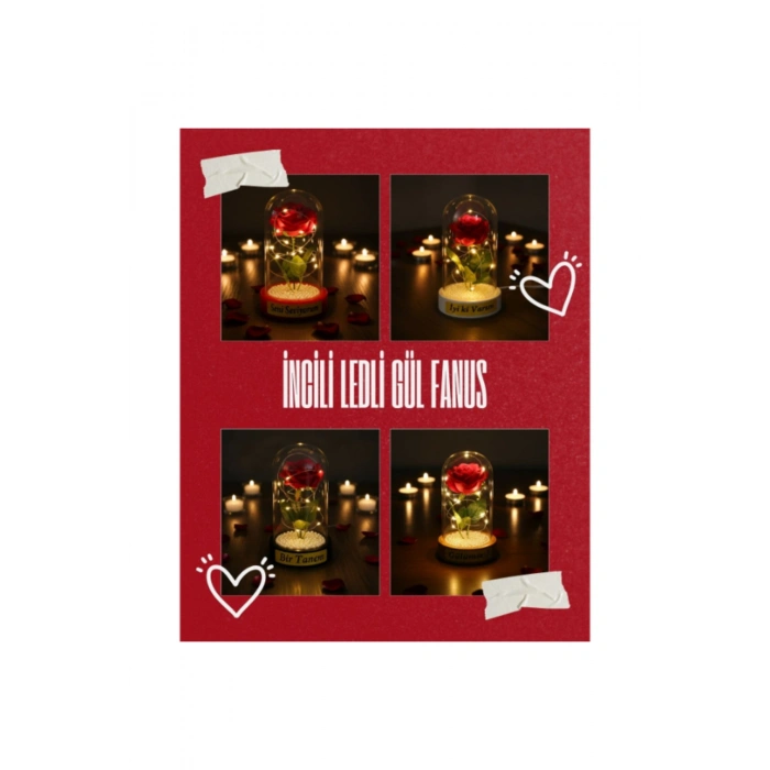 İncili Ledli Gül Fanus