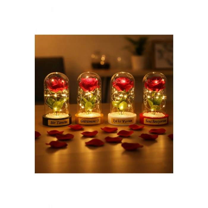 İncili Ledli Gül Fanus