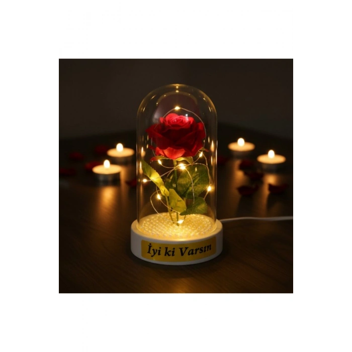 İncili Ledli Gül Fanus