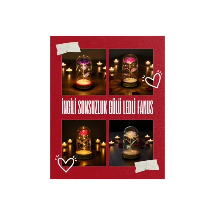 İncili Sonsuzluk Gülü Ledli Fanus