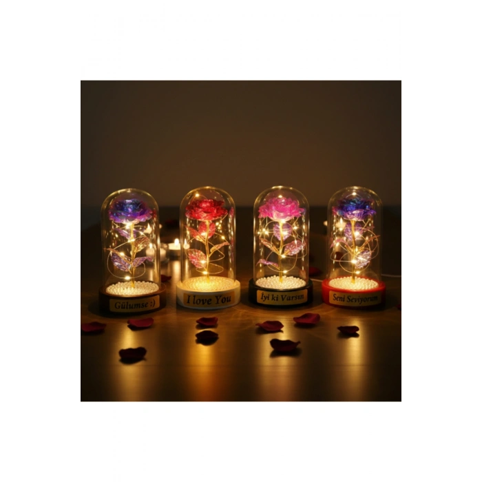 İncili Sonsuzluk Gülü Ledli Fanus