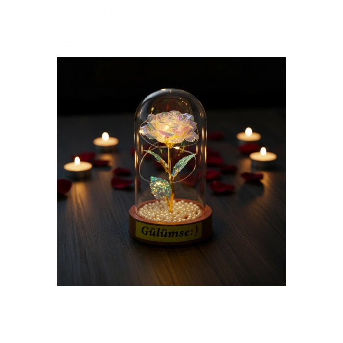 İncili Sonsuzluk Gülü Ledli Fanus