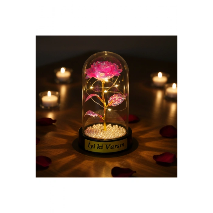 İncili Sonsuzluk Gülü Ledli Fanus