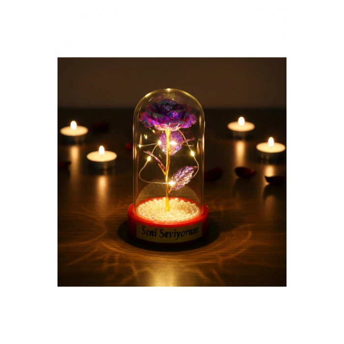 İncili Sonsuzluk Gülü Ledli Fanus