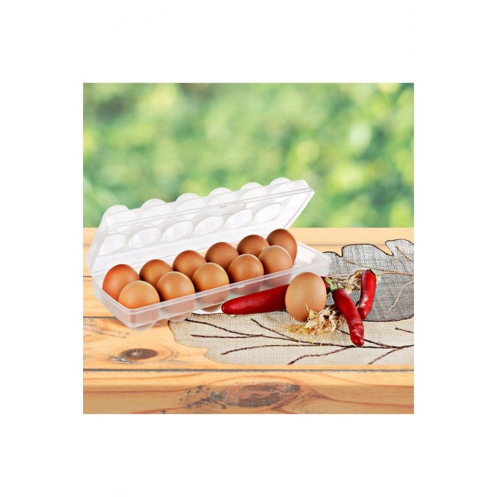 12'li Şeffaf Kapaklı Kilitli Yumurta Saklama Kabı Kutusu Aparatı (5324)